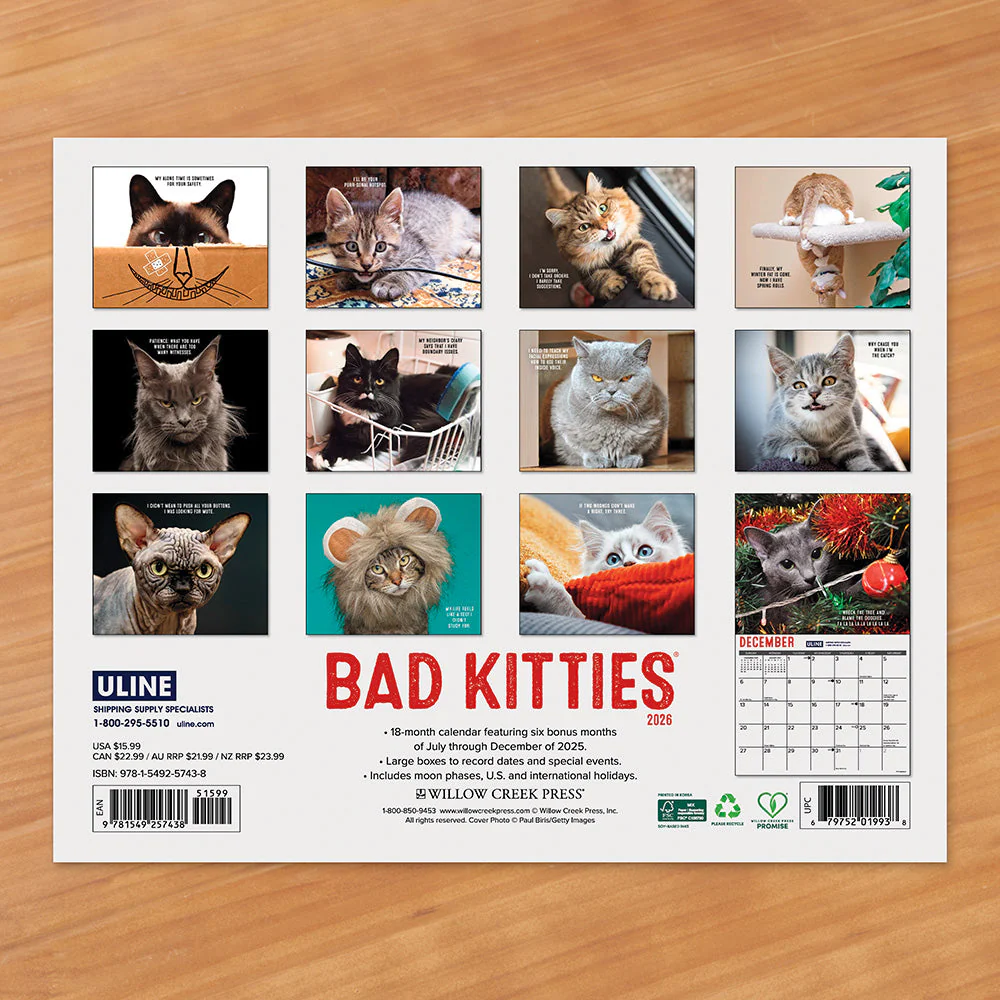 2026 Wall Calendar, Cat-astrophe™ - Image 2