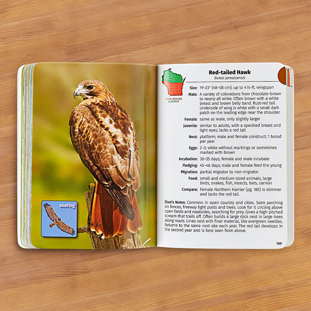 "Birds of Wisconsin Field Guide" by Stan Tekiela - Image 2