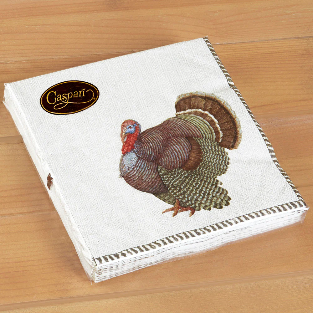 Caspari Paper Napkins - Thomas T. Byrd Turkey - Image 3