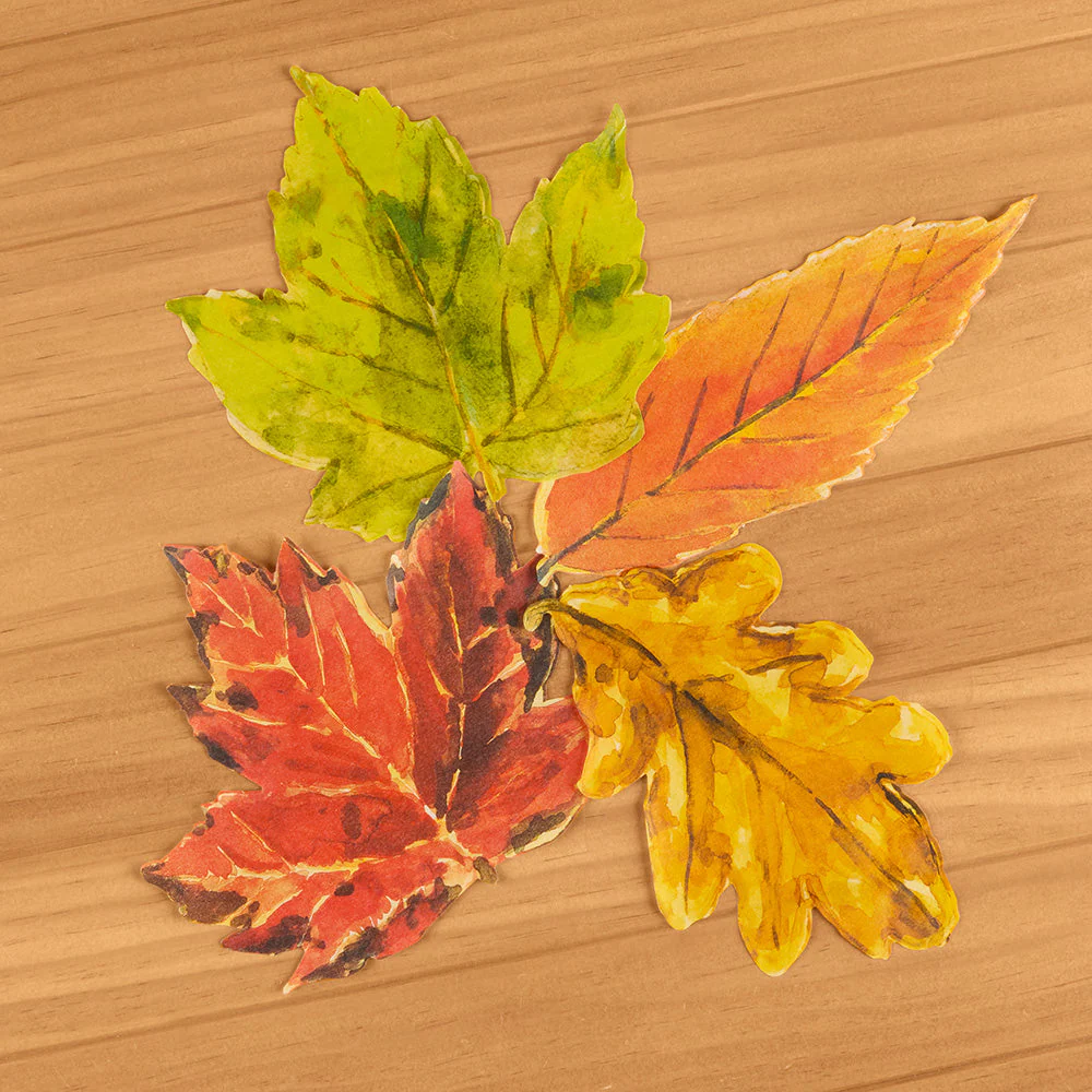 Decorative Parchment Paper Liners for Plate & Table, Leaves - Image 2