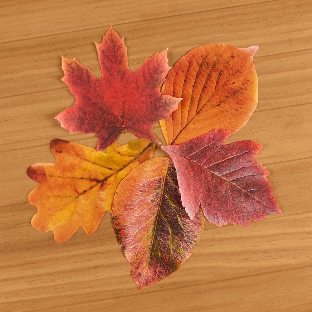 Decorative Parchment Paper Liners for Plate & Table, Leaves - Image 4