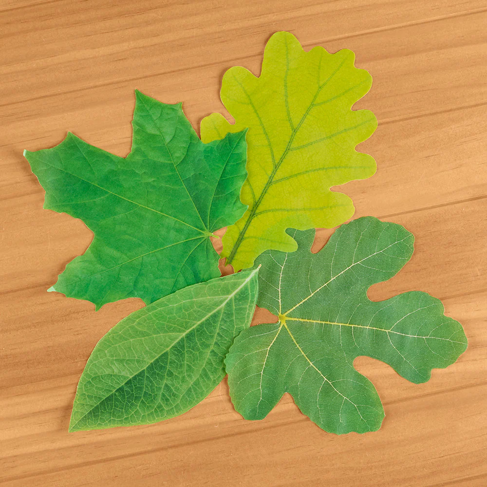 Decorative Parchment Paper Liners for Plate & Table, Leaves - Image 6