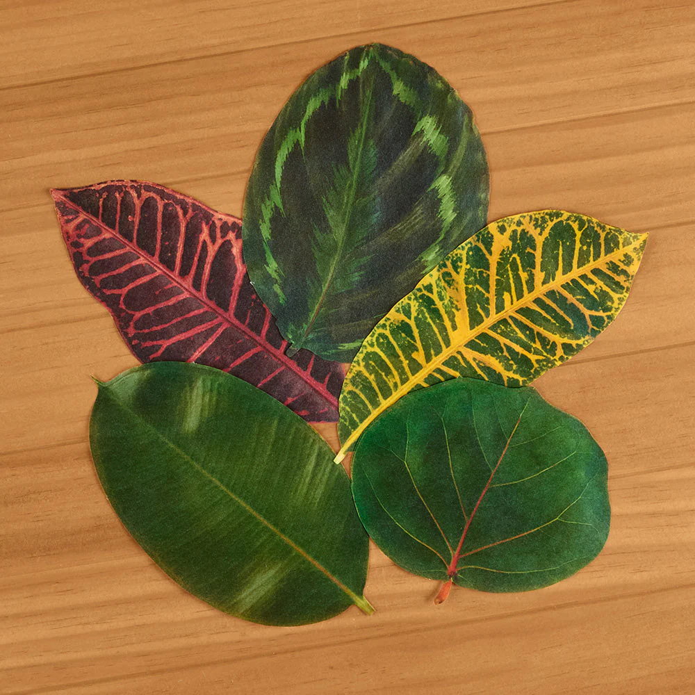 Decorative Parchment Paper Liners for Plate & Table, Leaves - Image 8