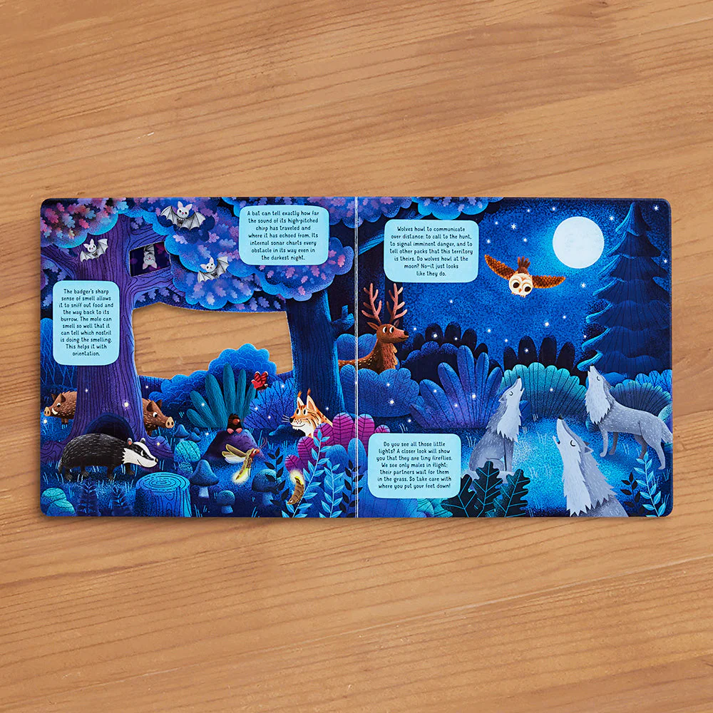 "Discovering the Hidden World of Nature at Night" Board Book by Lenka Chytilova - Image 2