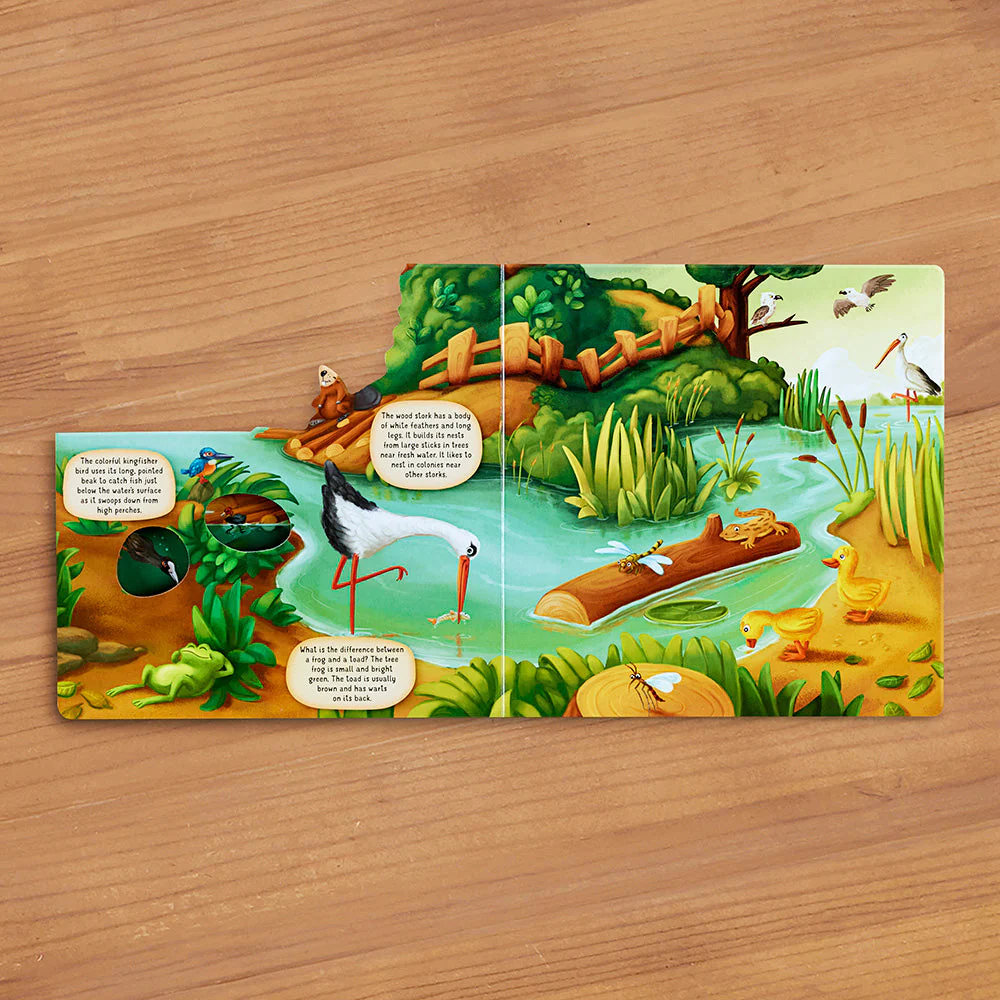 "Discovering the World of Nature Along the Riverbank" Board Book by Petra Bartikova - Image 2