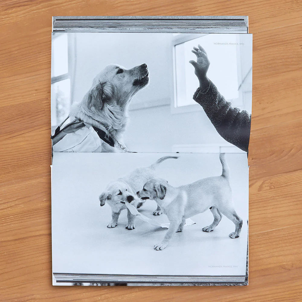 "DogDogs" Photography Book by Elliott Erwitt - Image 2