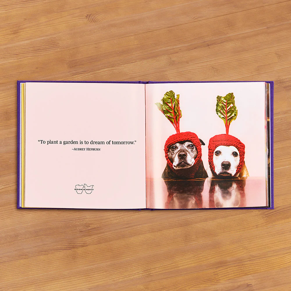 "Every Day Is a Celebration!" Sookie and Ivy Photo Gift Book by Jani Oja - Image 2