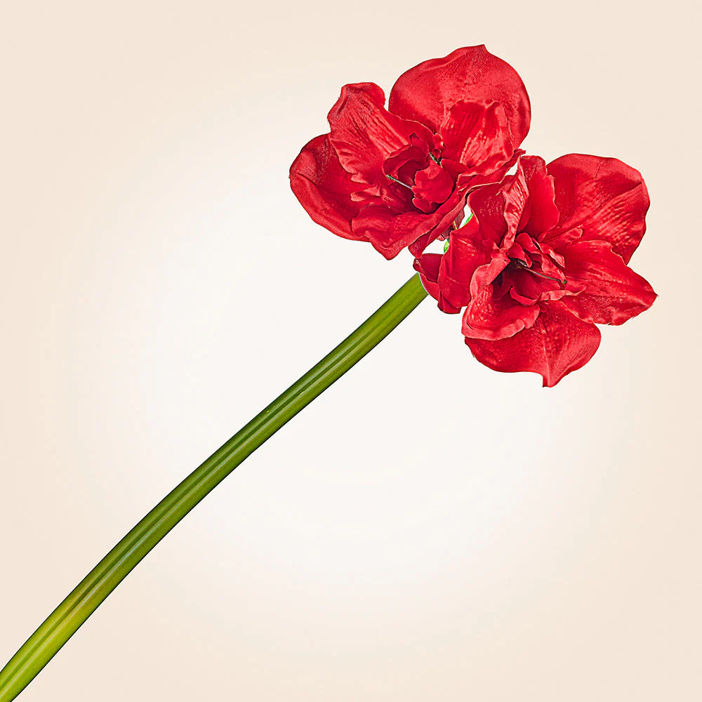 Faux Amaryllis Stem, 31.5" - Image 2