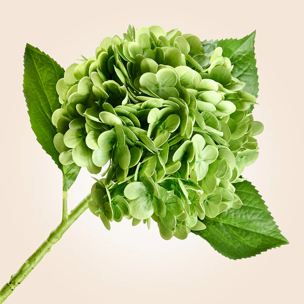 Faux Hydrangea Stem, 20" - Image 2