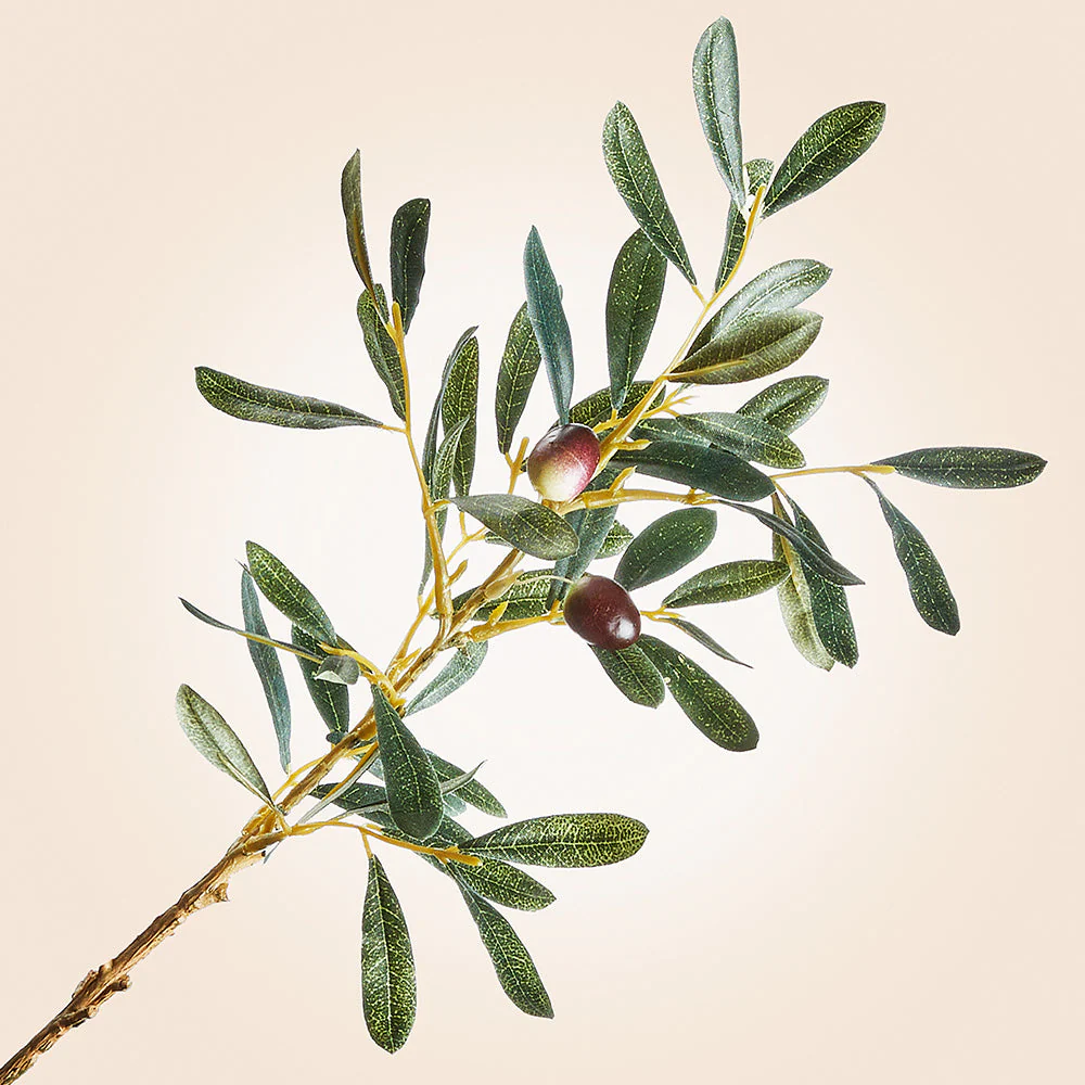 Faux Spanish Olive Stem