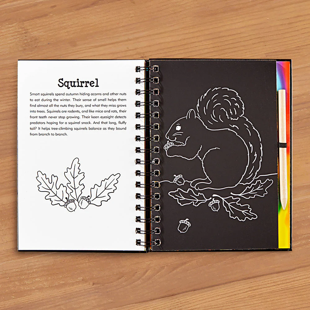 "Forest Friends" Scratch and Sketch Art Activity Book - Image 2
