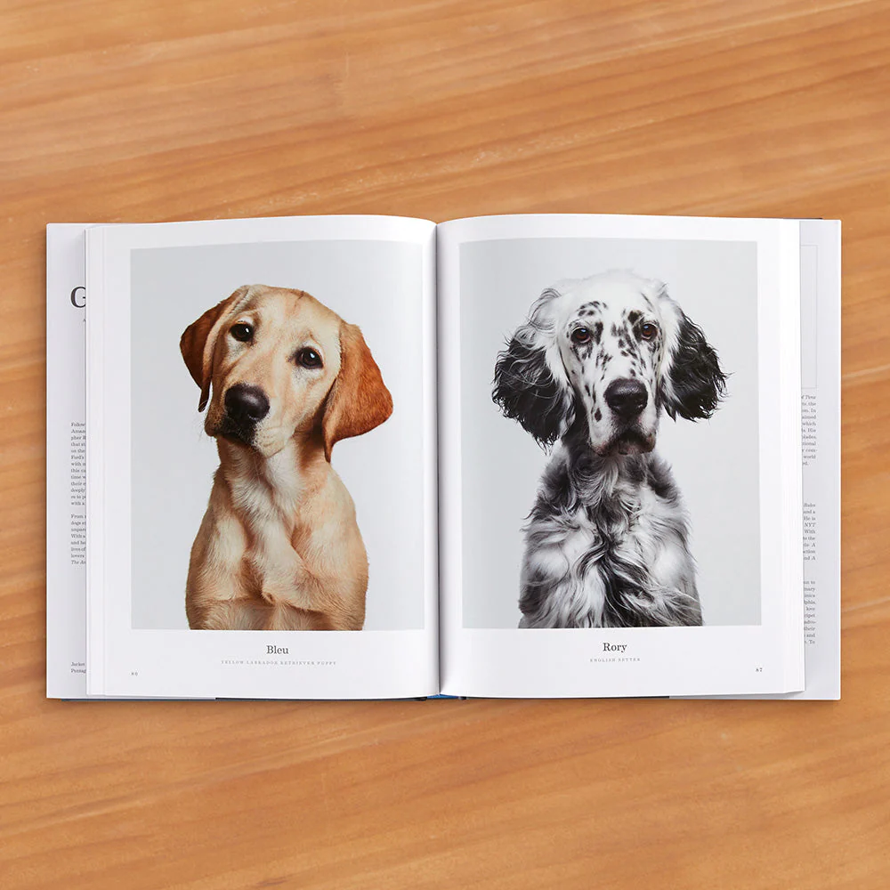 "Good Dog: A Collection of Portraits" Photography Book by Randal Ford - Image 2