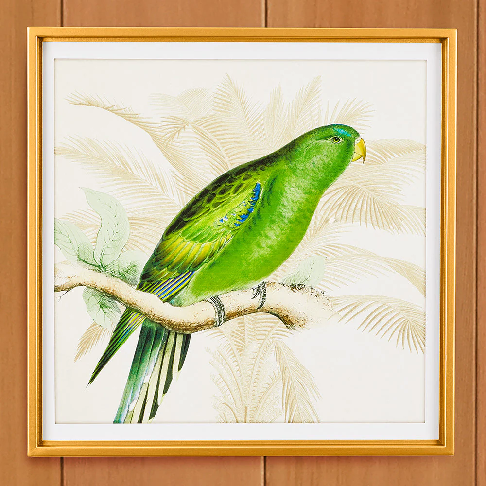 Green Parrot Framed Print - Image 2