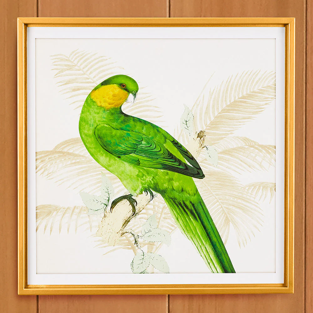 Green Parrot Framed Print - Image 4
