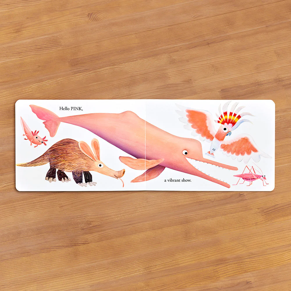 "Hello Hello Colors" Children's Board Book by Brendan Wenzel - Image 2