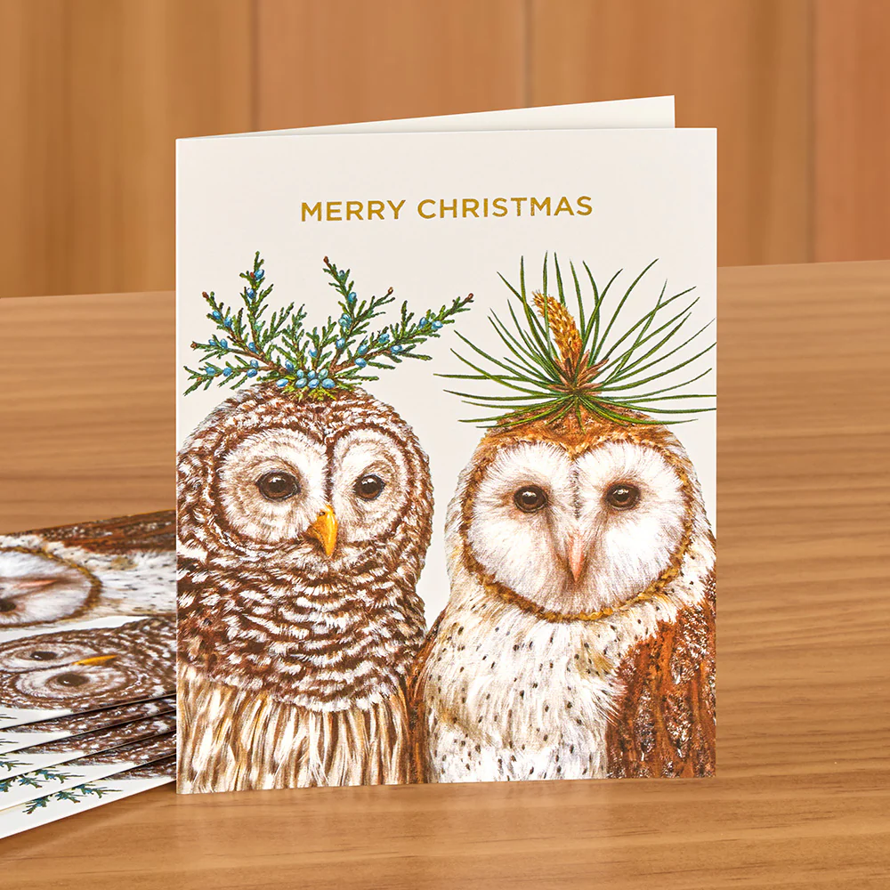 Hester & Cook Christmas Card Set, Fancy Winter Owls - Image 2