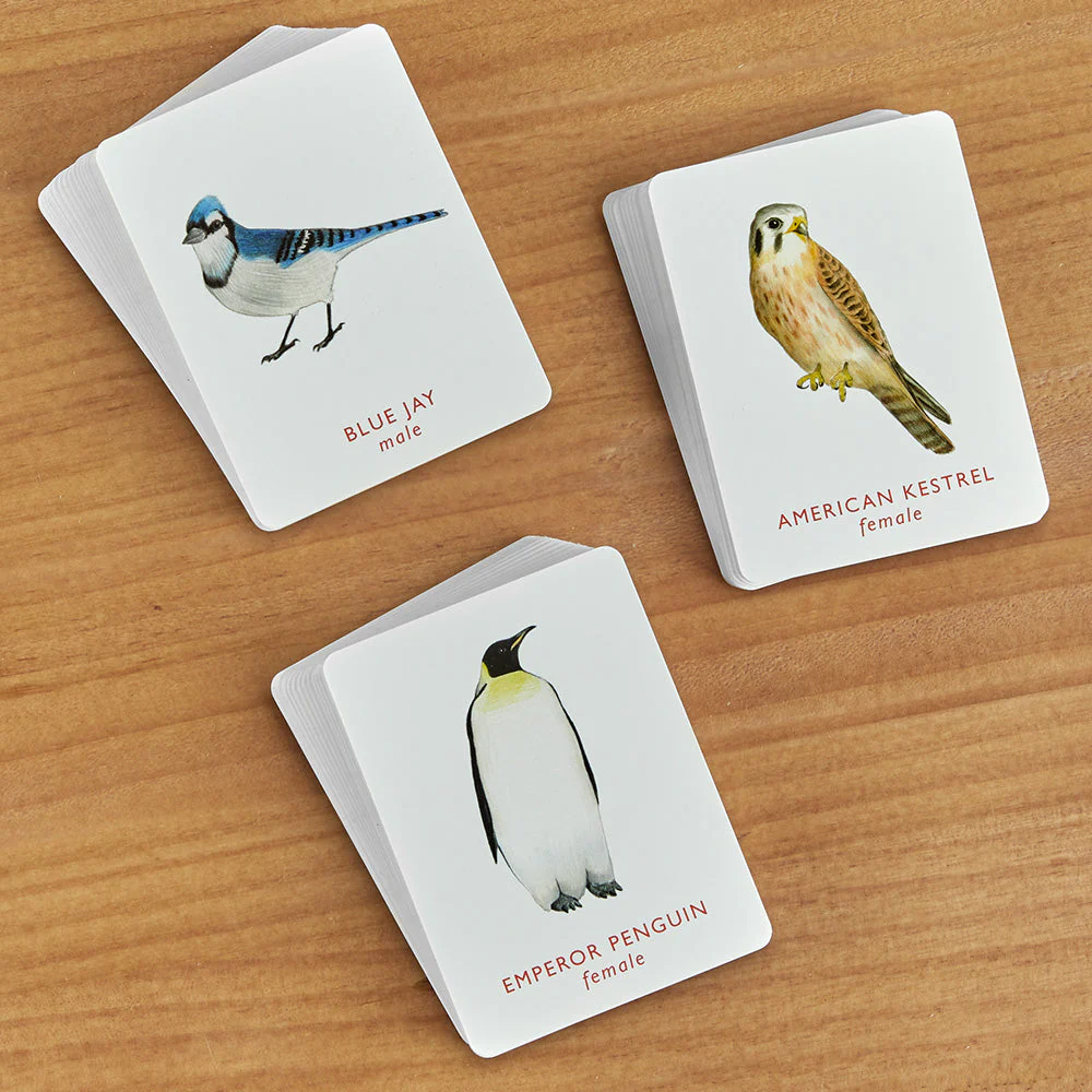 Match a Pair of Birds: A Memory Game - Image 2