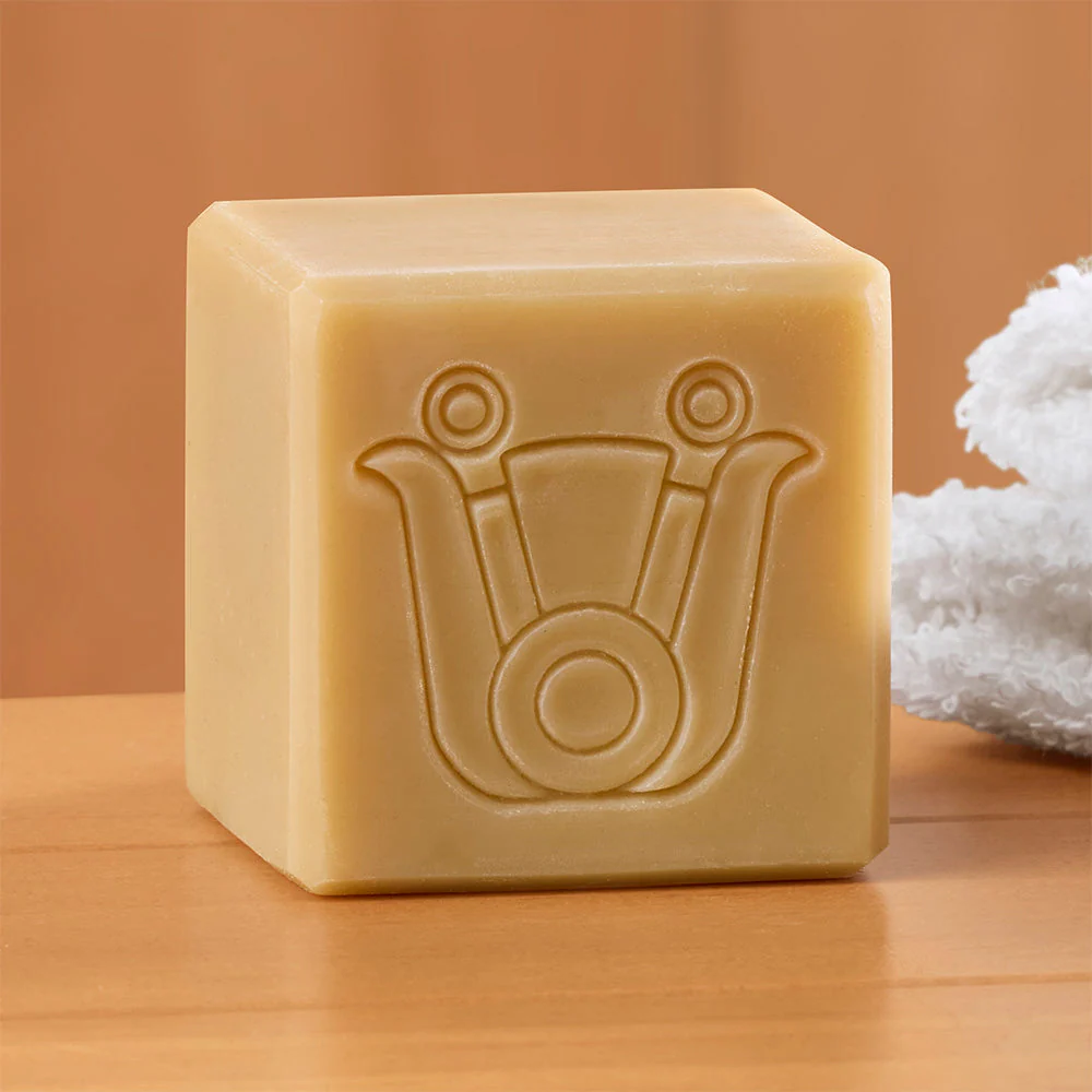 Paca Botánica Soap, Exfoliating Immortal Bar