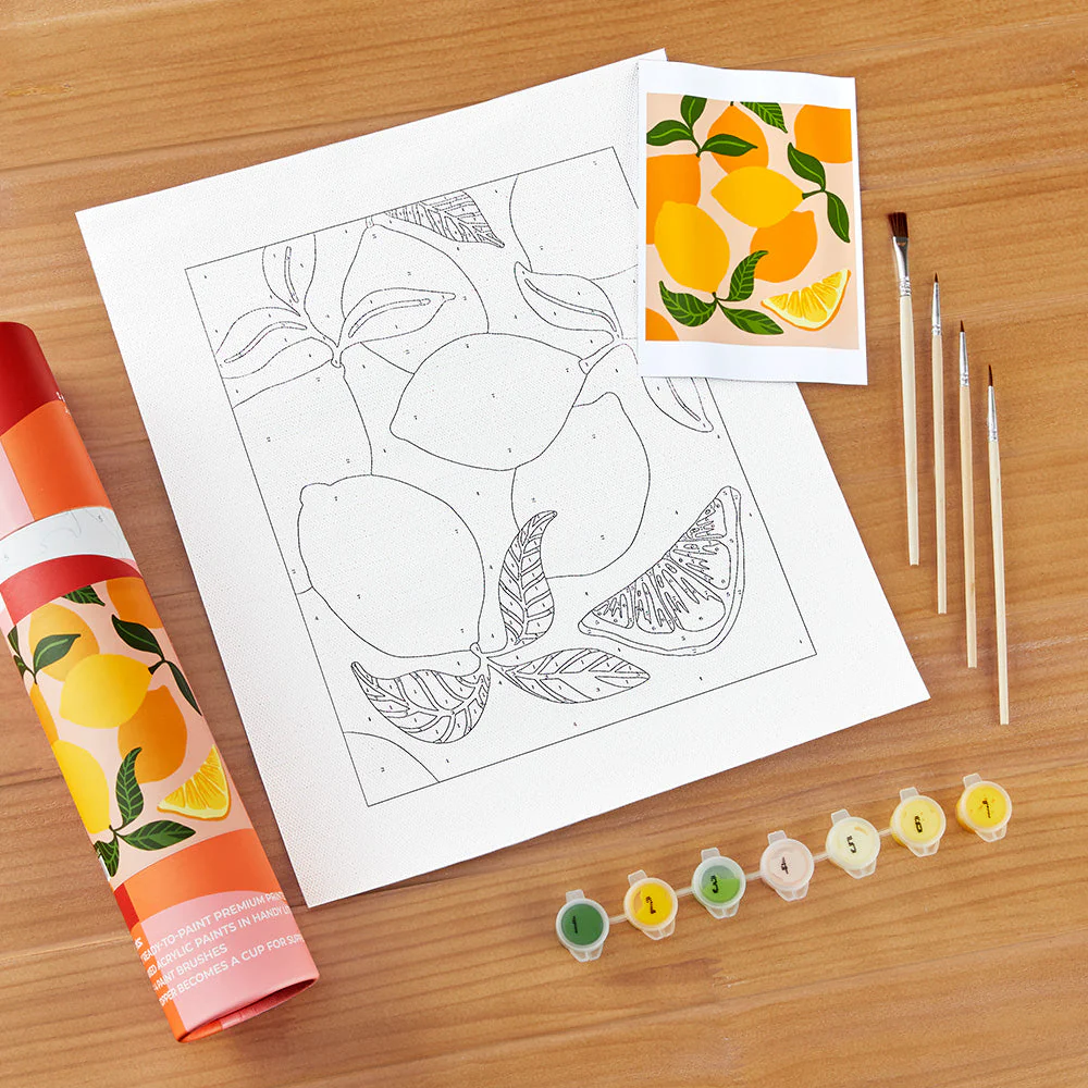 Pink Picasso Paint-by-Numbers Kit, Mid-Century Modern