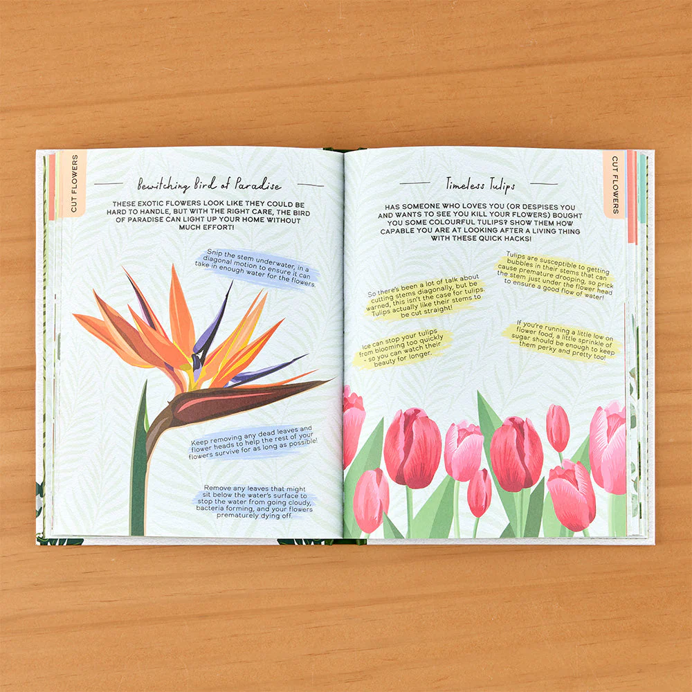 "Please Don't Die: A Guide for Neglectful Houseplant Owners" Novelty Gift Book - Image 2