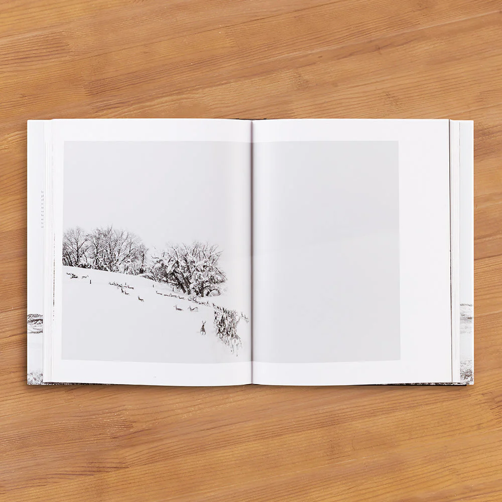 "Ranchland: Wagonhound" by Anouk Krantz - Image 2