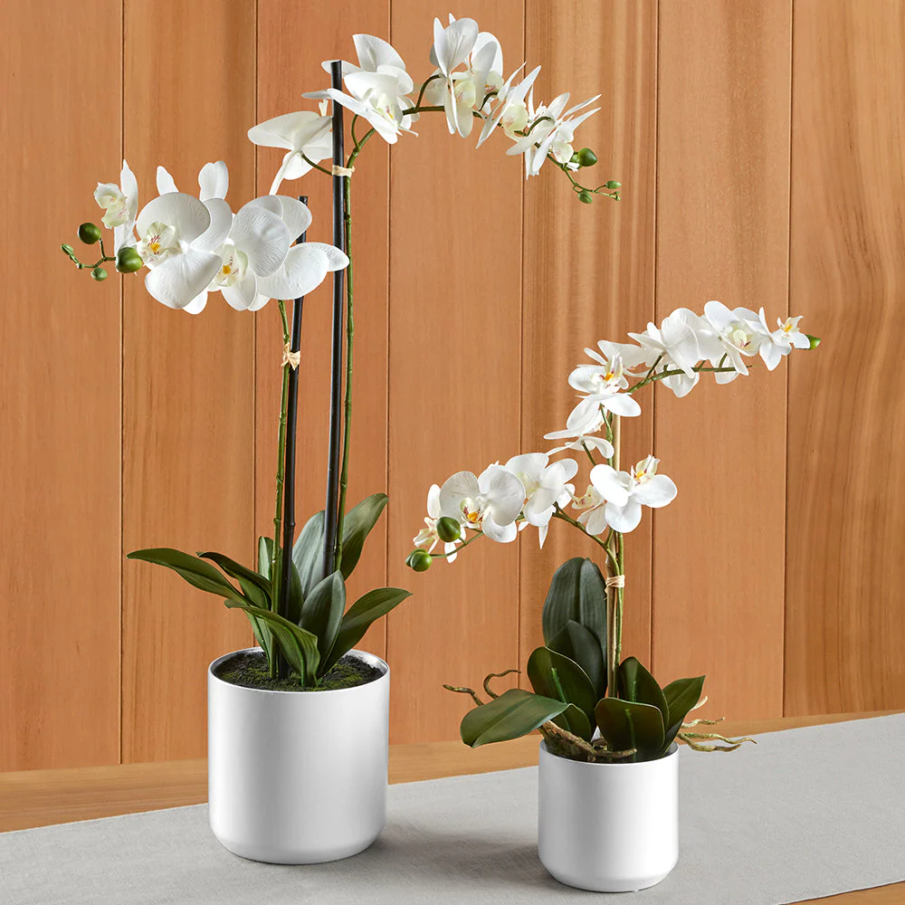 Real Touch White Phalaenopsis Potted Orchid - Image 3