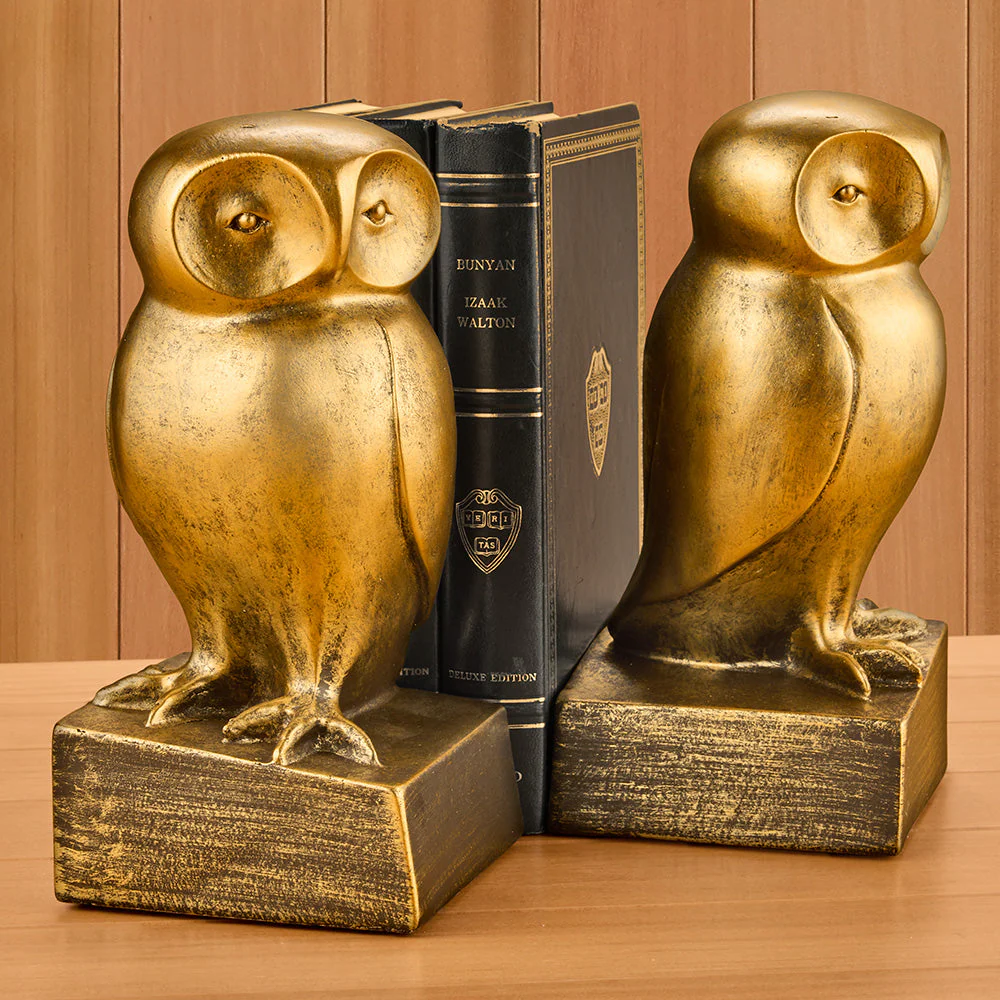 Resin Owl Bookend Set