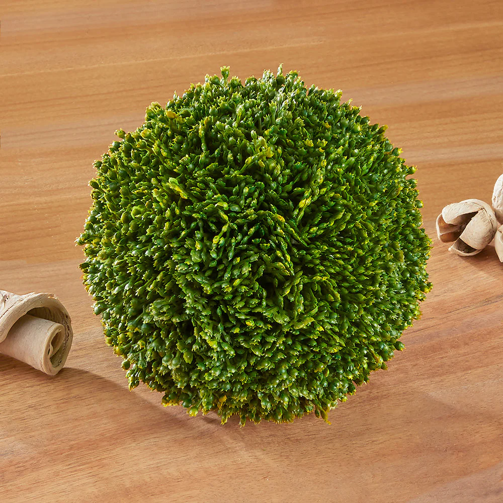 Sedum Orbs - Image 2