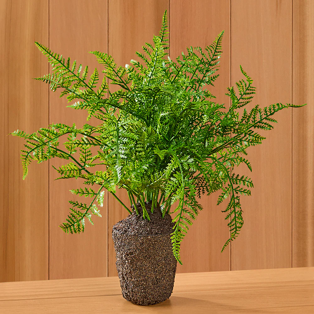 Soft Fern Drop-In - Image 2