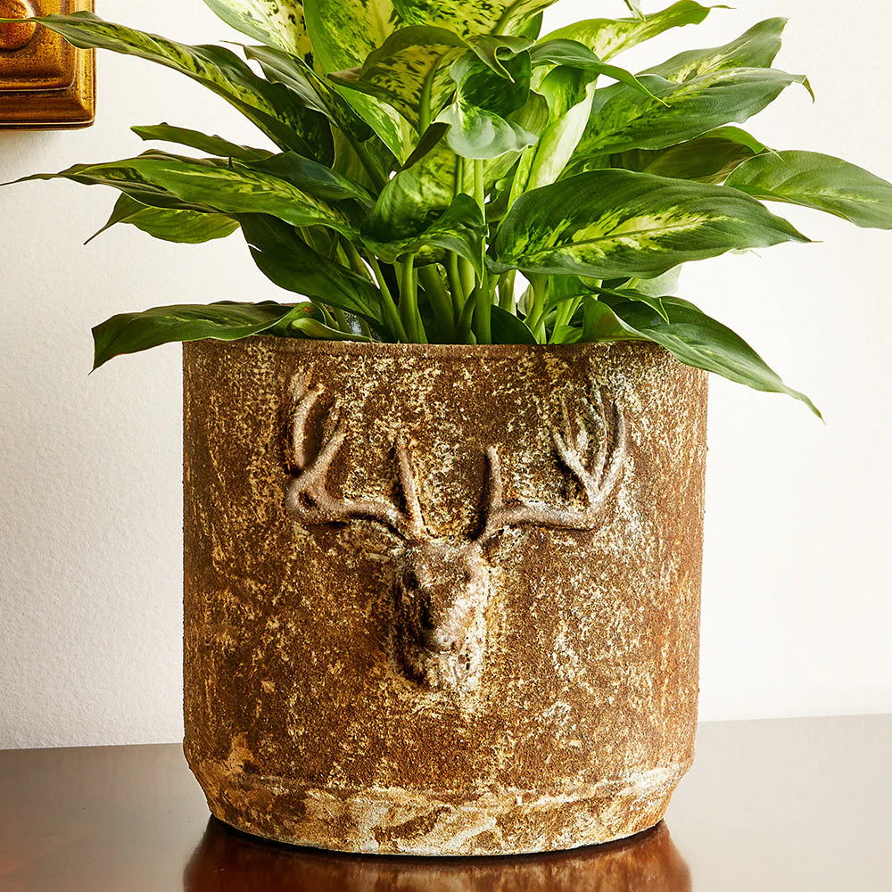 Stag's Head Cement Planters