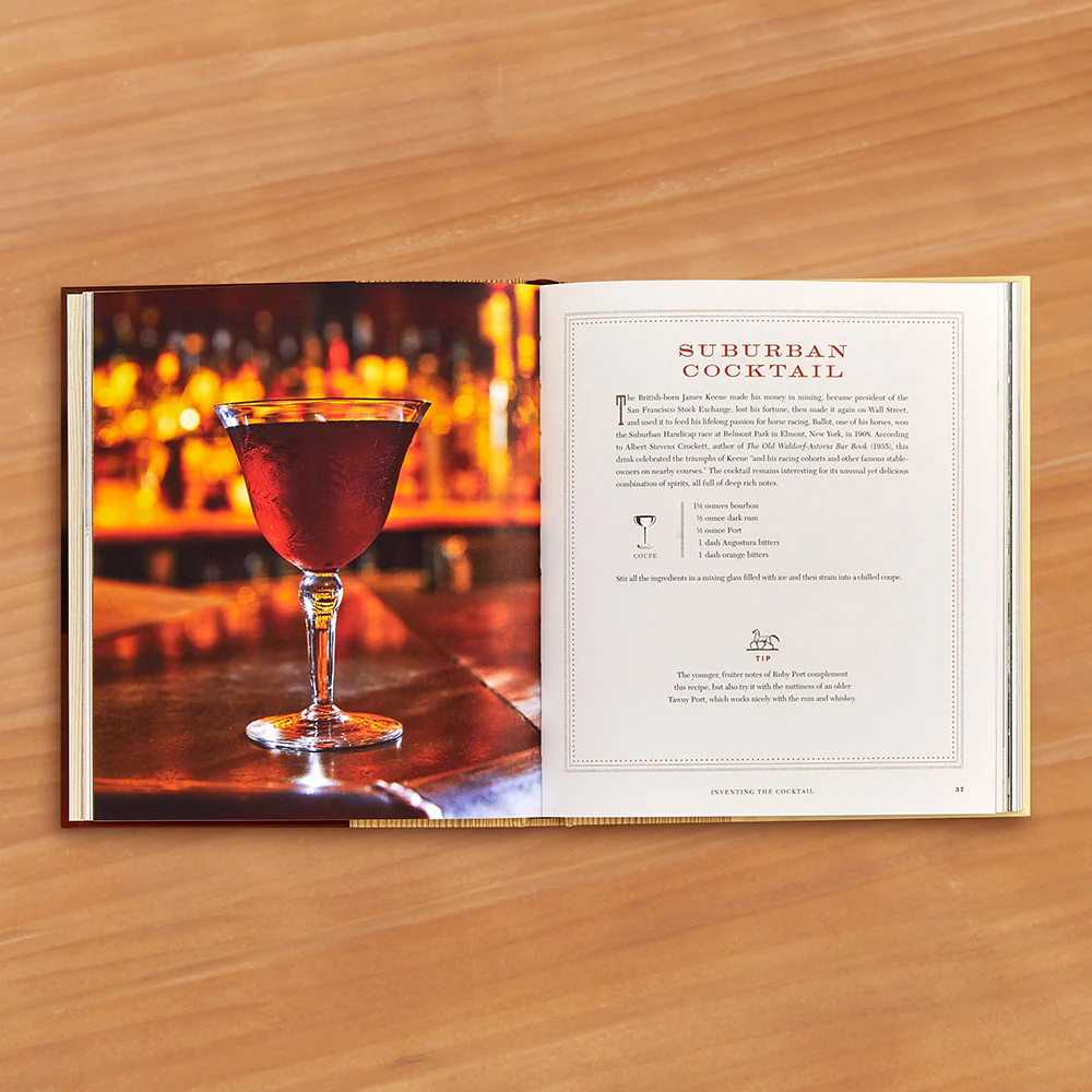 "The Bourbon Bartender: 50 Cocktails to Celebrate the American Spirit" by Jane Danger and Alla Lapushchik - Image 2