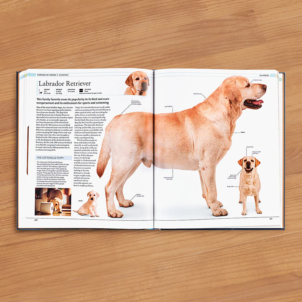 "The Dog Encyclopedia: The Definitive Visual Guide" - Image 2