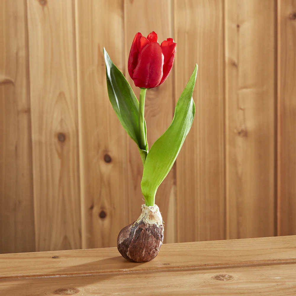 Tulip Bulb Drop-In, Red - Image 2