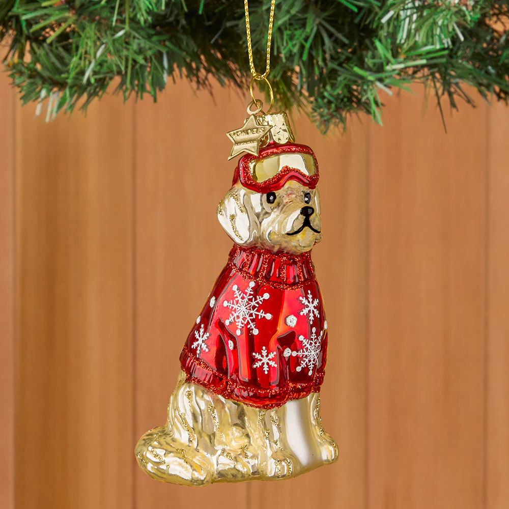 Vondels Glass Ornament, Golden Retriever with Ski Goggles and Sweater