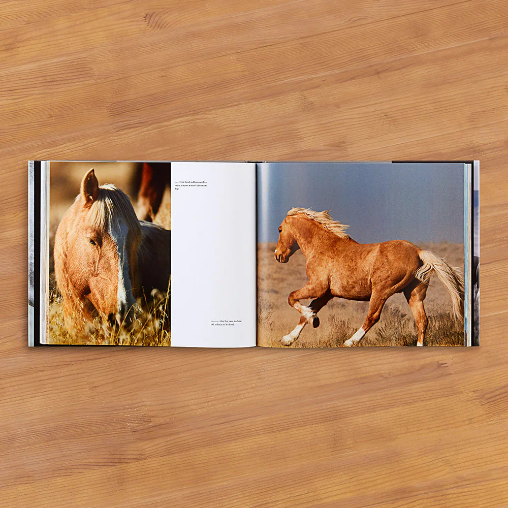 "Wild Horses of the West" by Jan Drake - Image 2